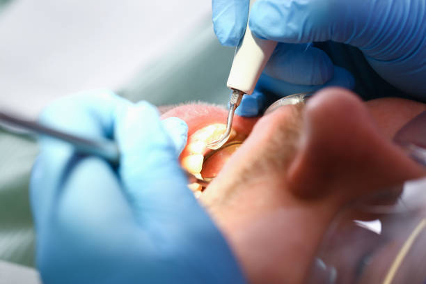 Best Emergency Pediatric Dental Care in Brunswick, NC